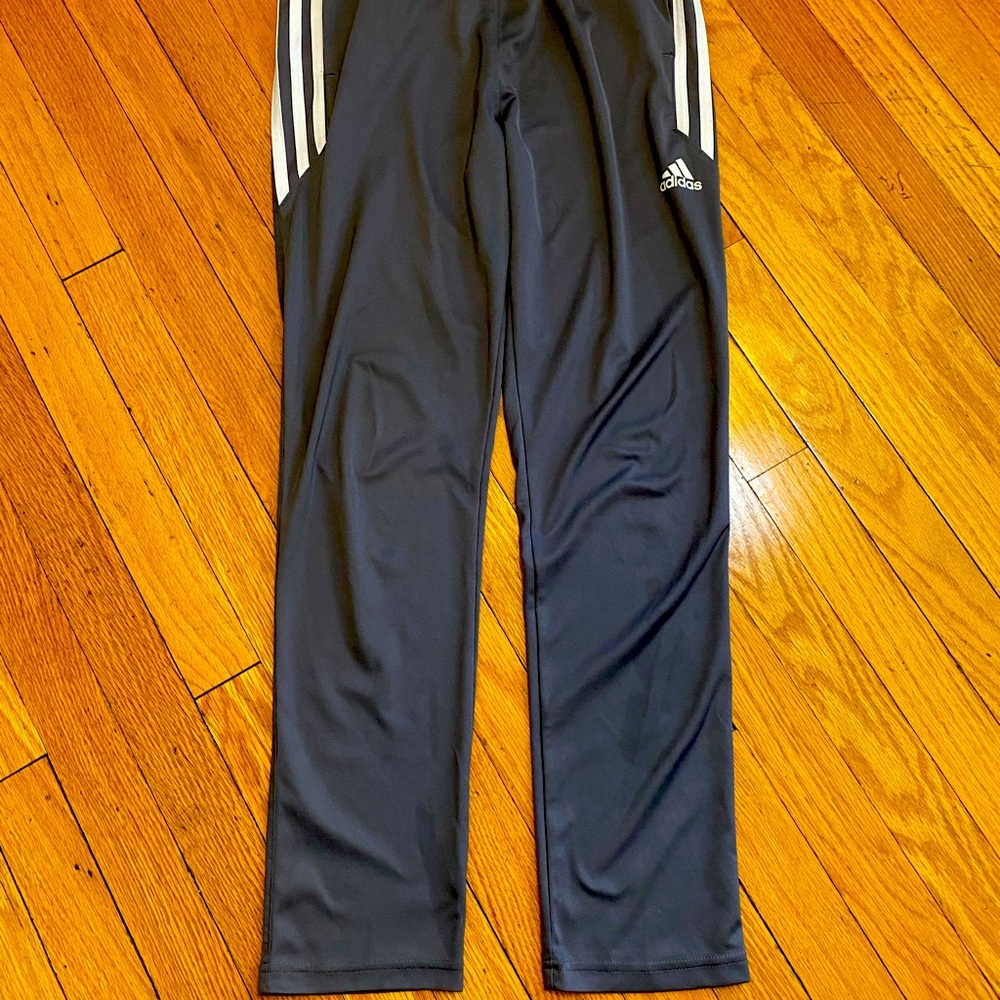 Adidas athleisure pants.